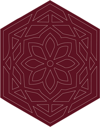 Transforms with Light